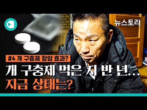 암 환자들의 마지막 희망이 된 구충제...무모한 선택일까? / 비디오머그 X 뉴스토리