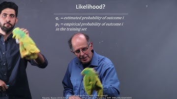 Cross-Entropy Loss Log-likelihood Perspective