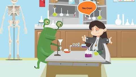 Incredible Science Class 4-Chapter 3-Page Number 29