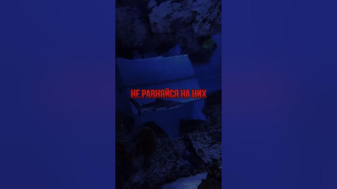 Из книги «Правило номер 1. Никогда не быть номер 2. #книги #мотивация # ...