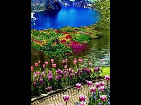 سورة البقرة أخذها بركة وتركها حسرة الله ختم سورة البقرة بآيتين أعطانيهما من كنزه الذي تحت العرش