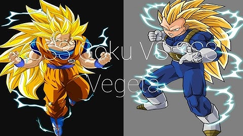 SS3 Goku VS SS3 Vegeta - Dragon Ball Z Tenkaichi Tag Team Mod