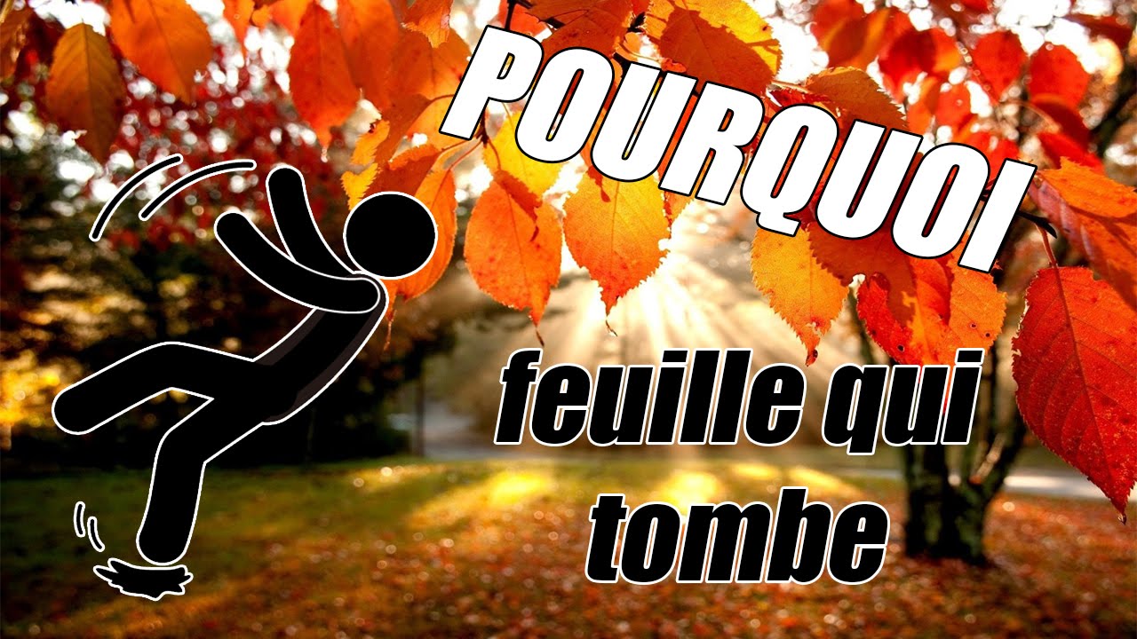 Pourquoi les feuilles tombent en AUTOMNE ? YouTube Pourquoi les feuilles tombent en AUTOMNE ? YouTube