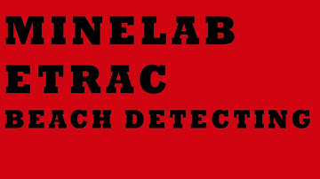 Minelab Etrac beach metal detecting Lincolnshire