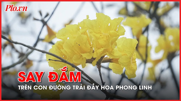 Từ tphcm đến hà nội bao nhiêu km năm 2024