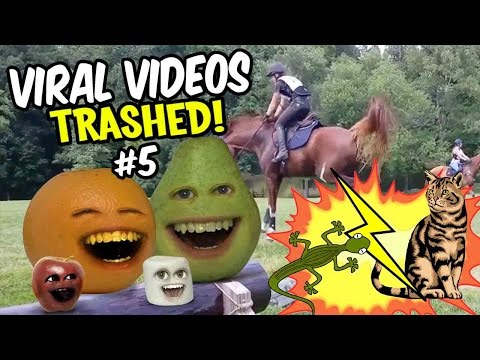 annoying-orange---viral-videos-trashed!-#5-|-cat-vs-lizard-and-more!