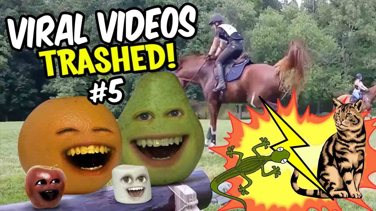 Annoying Orange - VIRAL VIDEOS TRASHED! #5