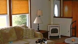 Homes for Sale - 25422 CTY RT 16 Evans Mills NY 13637 - Judy Tubolino