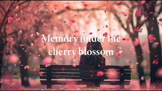 Memory under the cherry blossom