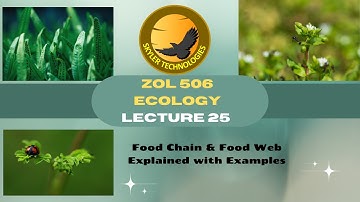 ZOL 506 Ecology Lecture 25 | Food Chain & Food Web Explained with Examples