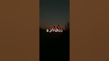 سورة الليل: القارئ سعد الغامدي