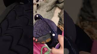 Freeing The Gargantuan Leviathan #lilgargy #gargy #gargantuanleviathan #subnautica #anthomnia