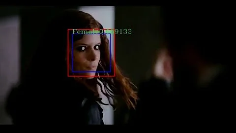 Deep Convolutional Neural Network Gender Recognition Using TensorFlow API