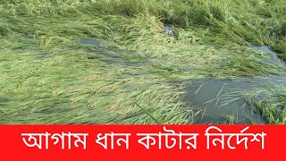 Manikganj Weather | Weather Of Manikganj