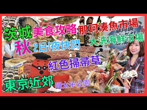 [東京近郊 自駕遊 茨城2日1夜 快閃 美食攻略] 秋天好去處｜紅色 掃帚草｜海鮮市場 物價 平過 東京築地魚市場 幾多｜那珂湊魚市場｜大洗海鮮市場｜高CP值 爐端燒｜酒店開箱| 老少咸宜 明太子公園