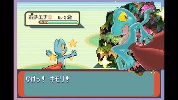 Live Shiny Treecko in Sapphire after 1,908 Soft Resets! (HSQ#3)