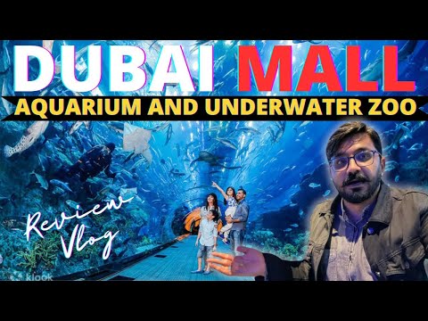 Dubai mall aquarium and underwater zoo vlog | Dubai Mall Aquarium #dubaimallaquarium #underwaterzoo