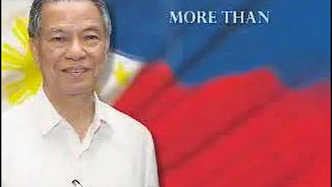 Lucio Tan Group of Companies_AVP