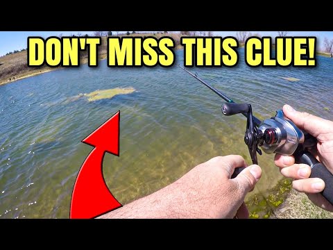Don't Get DISCOURAGED When Fishing is Like THIS! (Lessons Learned
