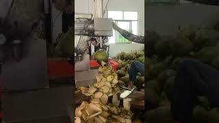 Coconut Peeling Machine #Automatic