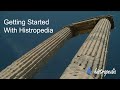 Getting started with histropedia