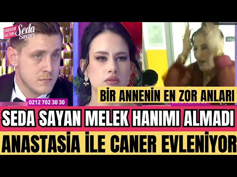 SEDA SAYAN BUGÜN ANASTASİA VE CANER KINA KIYDILAR ANNESİ MELEK HANIM STÜDYOYA ALINMADI SABAHIN SULTA