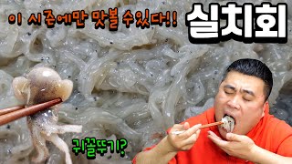 장고항 실치회!!1년에 딱 한달만 맛볼수있다!! and 귀꼴뚜기회 Eatingshow Mukbang