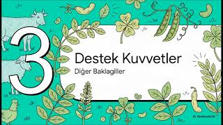 52.Yem Bitkileri Hayvancılığın Temel Taşı