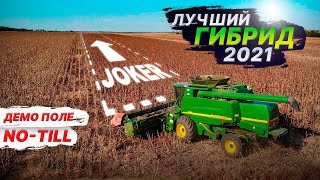 видео: Урожайность, гибриды и нормы высева. Уборка подсолнечника на демо-поле. Комбайн John Deere 9660 2021 картинка: Урожайность, гибриды и нормы высева. Уборка подсолнечника на демо-поле. Комбайн John Deere 9660 2021