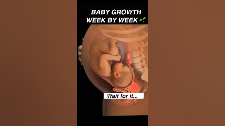 Your baby’s growth week by week! #pregnancy #womenshealth #mother #anatomy #pregnant
