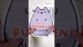 Kawaii Pusheen Blind Bag🤍 #asmr #paperdiy #blindbag #diy Resimi