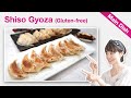 How To Make Gluten-free Gyoza (Recipe) | Chicken Shiso Dumpling | YUCa's Japanese Cooking