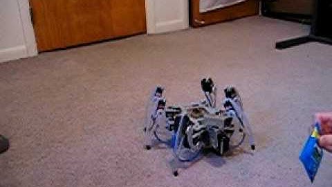 BOo the Hexapod - tracking blue objects - Video 2