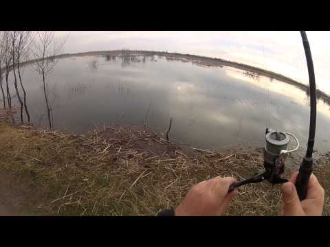 Fishing near riv. Noghela - თევზაობა ქარიყლაპიაზე სპინინგით მდ. ნოღელას მახლობლად