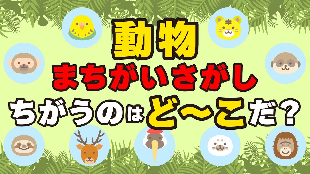 【動物まちがいさがし】ちがうのはど～こだ？かわいい動物のイラストから間違いをさがしてね【子供 / 幼稚園児 / 小学生 知育アニメーション】