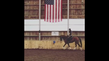 Samurai Jack and Izzy flatwork 0819