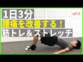 【腰痛筋トレ】腰痛予防に効果的なストレッチ&体幹トレーニング【1日3分】
