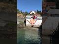 Jumping off the ferry dock 🙃 #summer #diving #sendit