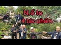 giao dịch phút cuối 4 tác phẩm gần 100 triệu vườn anh Ngọc cảnh bonsai thành phố nam định