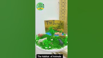 Science Project |Environment  and Habitat|  scienceprojectideas
