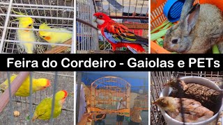 Feira de Gaiolas, Pássaros do Cordeiro!#passaros #pets #aves