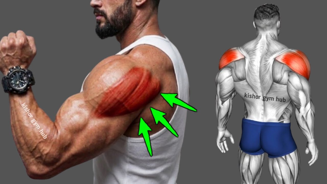 “6 Best Rear Delt Exercises (BUILD BOULDER SHOULDERS)” - YouTube