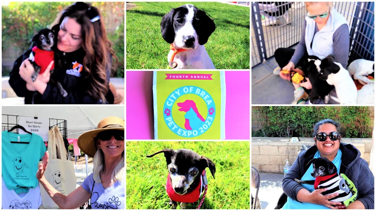 OC Animal Care Adoption Event Pet Expo 2023 City of Brea YouTube