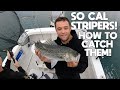 How to catch saltwater striped bass in southern california the tackle and areas to fish