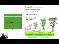 Exercise 6 nitrogen status in rice