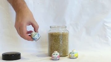 Writing up your dissertation