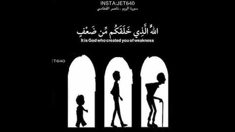 ارح سمعك 🎧سورة الروم 🌸 القارئ ناصر القطامي