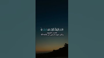لنتدبر ايات ١٦-١٧ من سورة الحديد #quran #قرآن