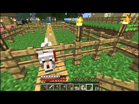 Video: Hoe Maak Je Een Hek In Minecraft