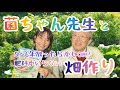 【菌ちゃん先生と畑作り】肥料不要！放ったらかしOK！善循環な畑とは？〜佐世保講習会〜